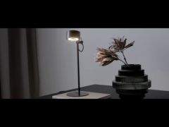 Люстра Nordlux 2010803003 CLYDE (38439) video 0